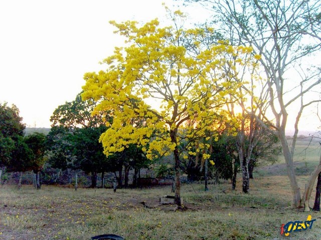 As belezas naturais de Rio Negro