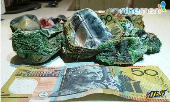 Dinheiro que foi escondido no forno foi assado por engano na Austrália