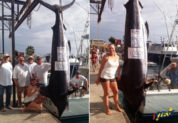 Molly Palmer fisgou marlin de 5,5 metros de comprimento e 464 quilos