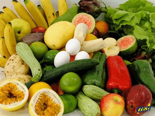 Alimentos anti-estresse