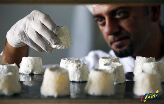Queijo de leite de burra é considerado o mais caro do mundo