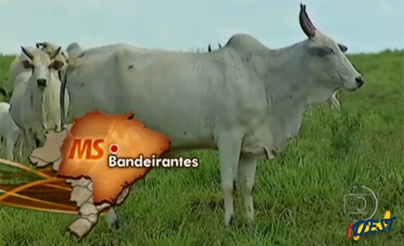Imagem da notícia