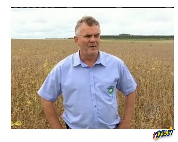 Sebastião Cruciol Filho, Agricultor