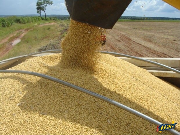 Previsão da Aprosoja/MS é que colheita no estado seja encerrada em março