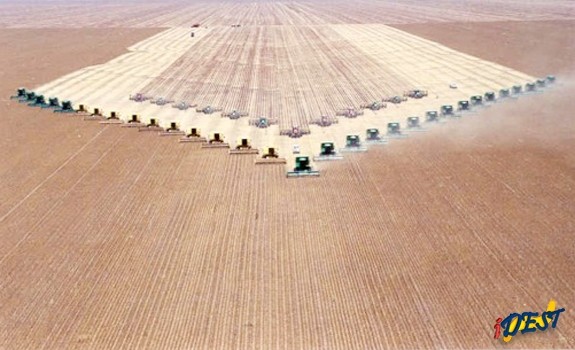 Mato Grosso do Sul é um dos maiores produtores do país.