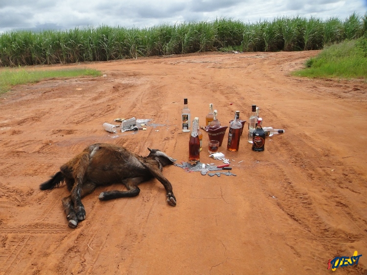 Imagem da notícia