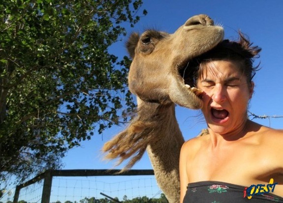 Animal mordeu cabeça de mulher bem na hora do clique, e foto virou sensação na web