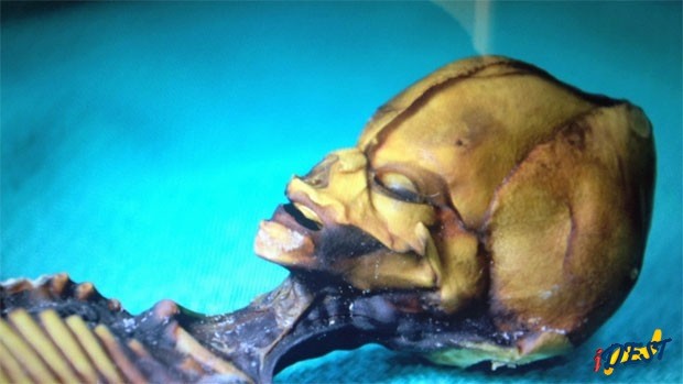 Imagem do filme &8242;Sirius&8242; mostra o humanoide encontrado no Chile
