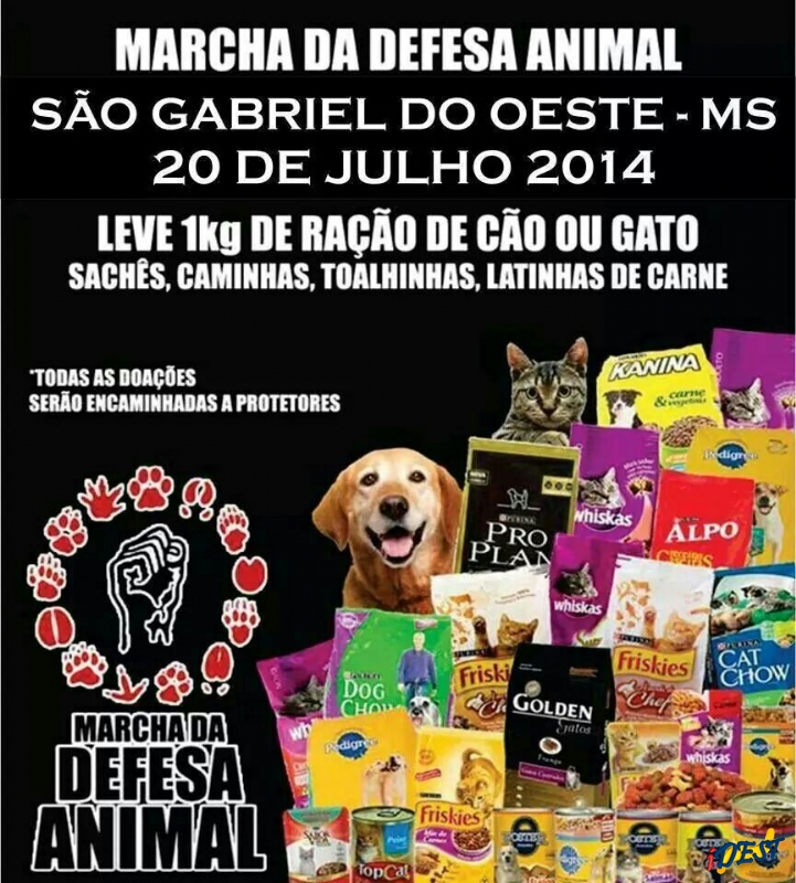 Imagem da notícia