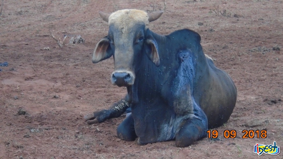 Imagem da notícia