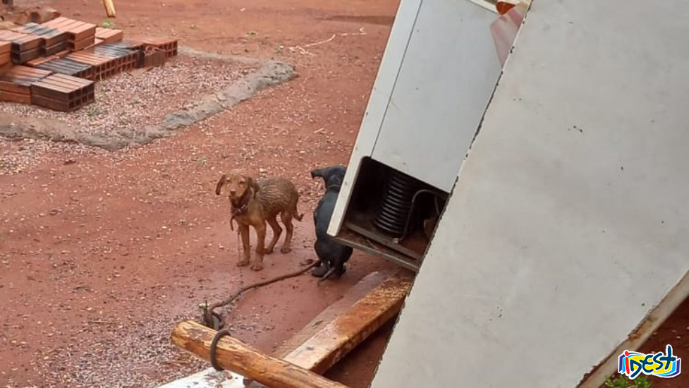 Imagem da notícia