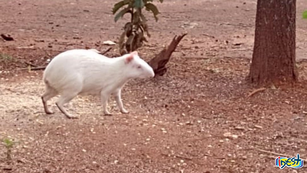 Imagem da notícia
