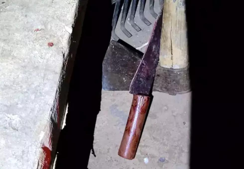 Faca usada no crime foi encontrada no quintal da casa de Manoel. 