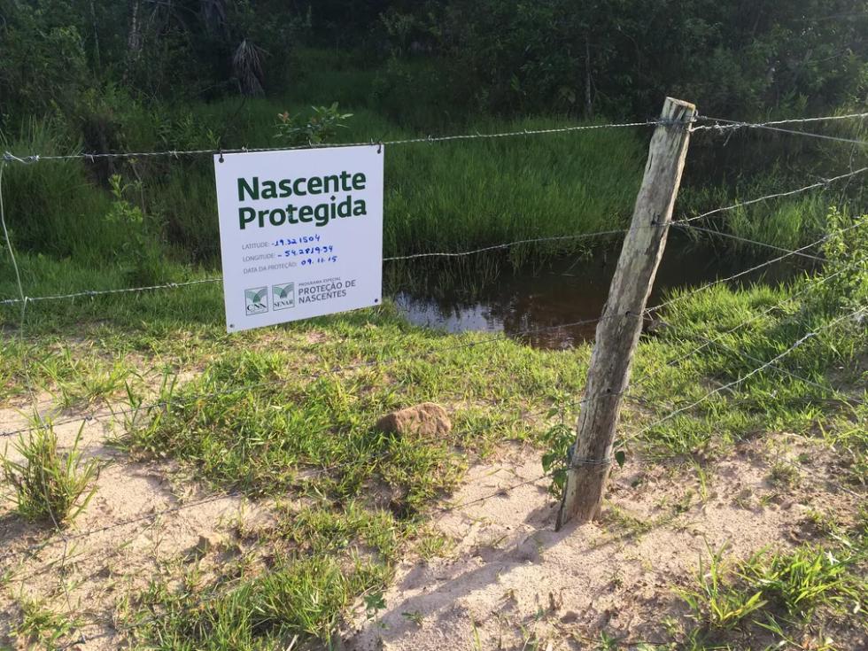 Nascente identificada e protegida por produtor rural de MS.
