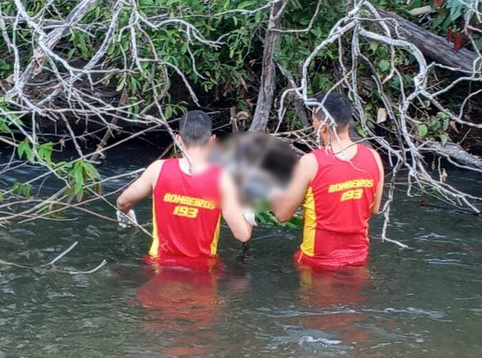 Por estar enroscado em galhos bombeiros ajudaram a retirará-lo.