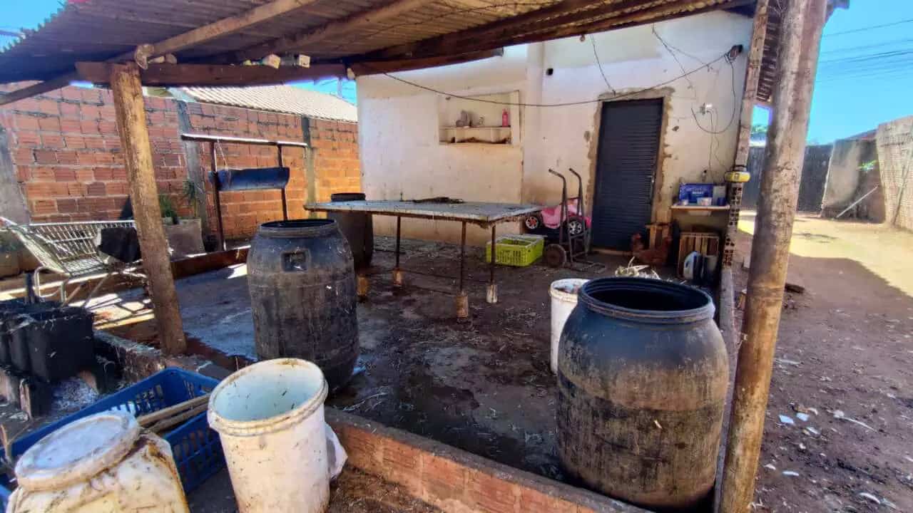 Imagem da notícia