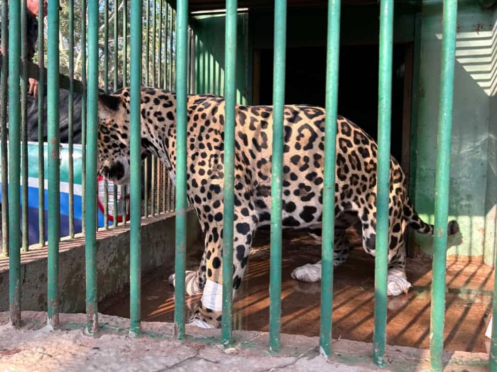 Imagem da notícia