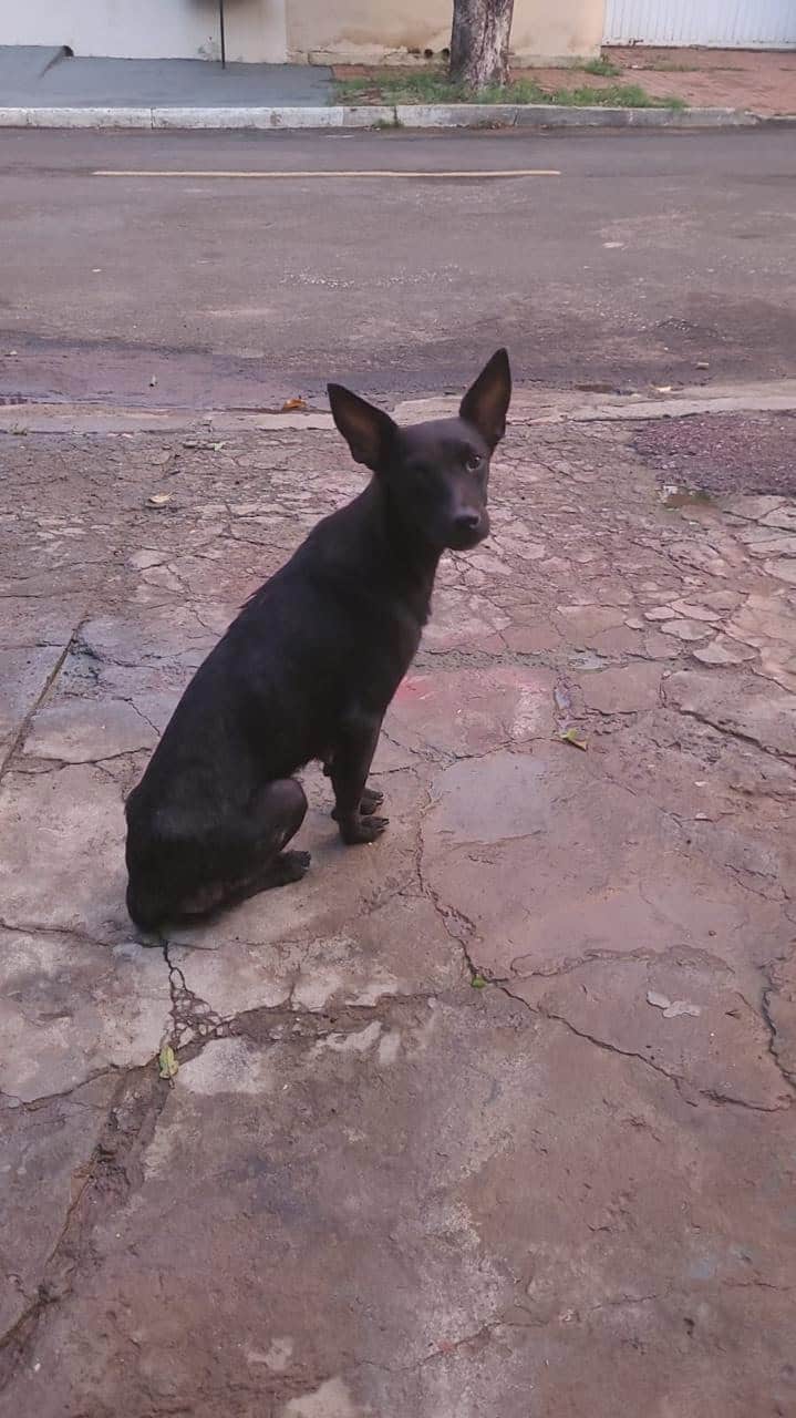 Imagem da notícia