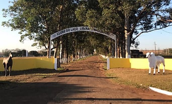 Clube de Laço Liberato Maffissoni convoca diretoria para reunião ordinária em São Gabriel do Oeste