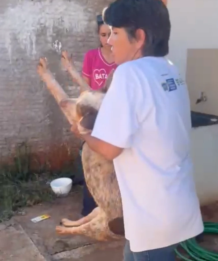 Imagem da notícia