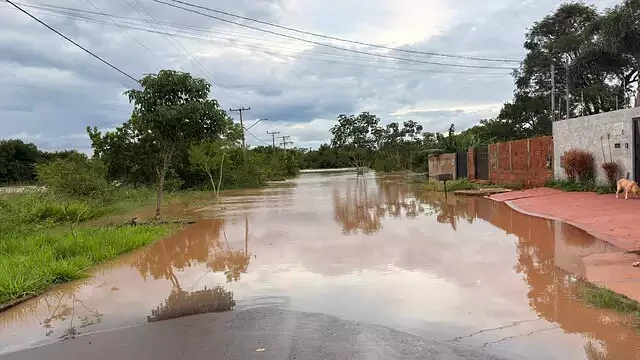 Imagem da notícia