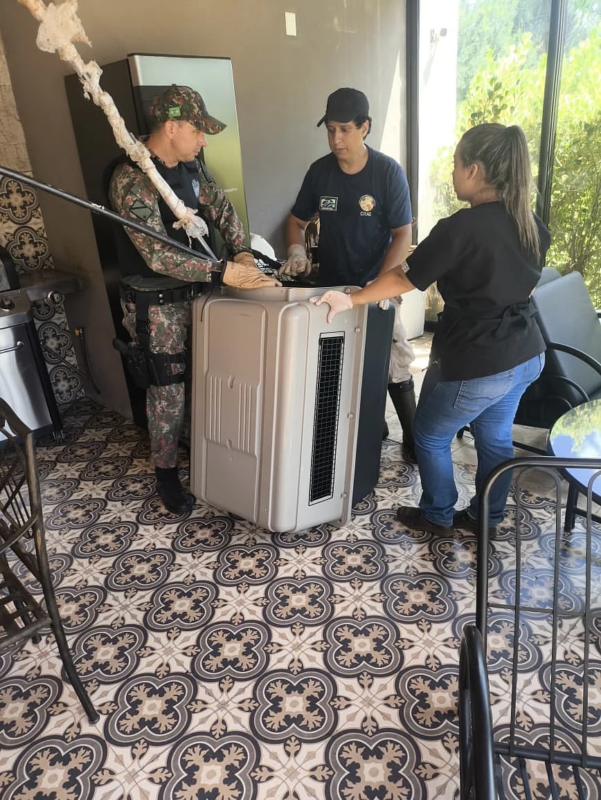Imagem da notícia