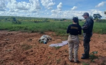 Denúncia leva PMA a flagrar maus-tratos a bovino em propriedade rural de Coxim