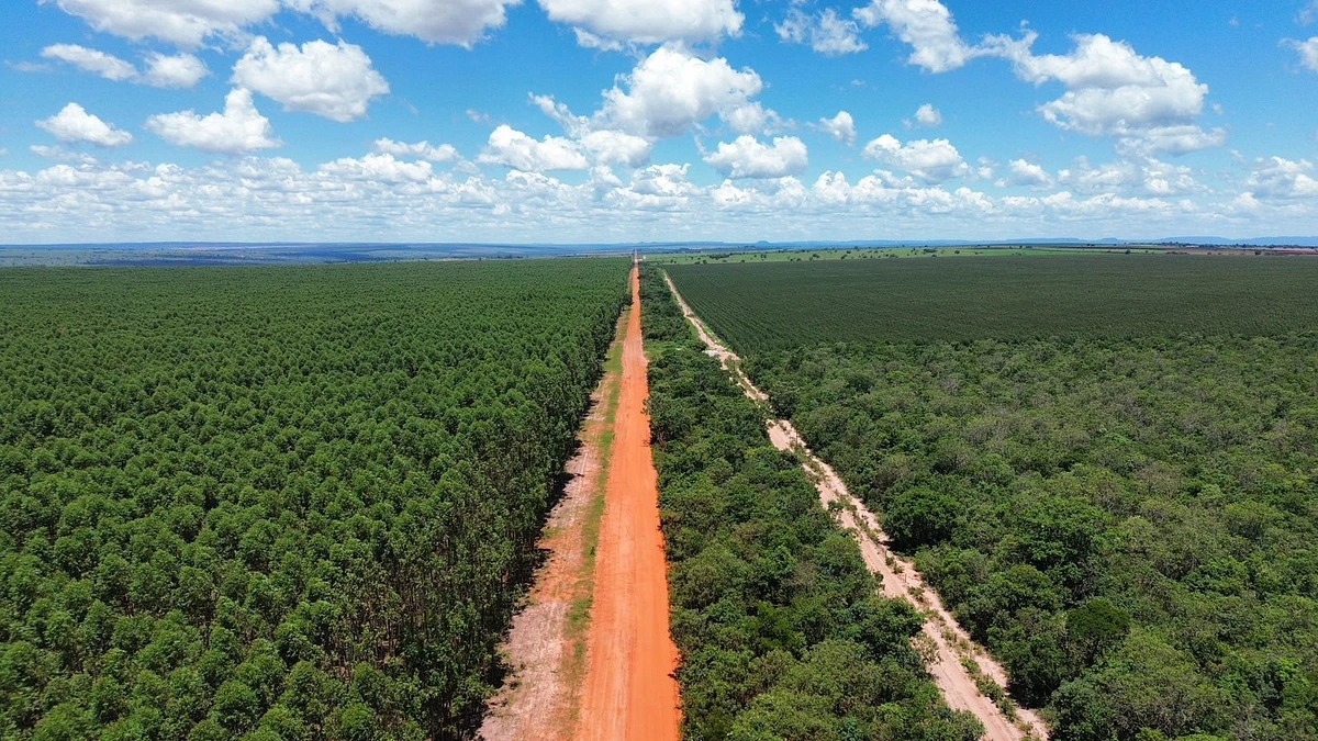 Imagem da notícia