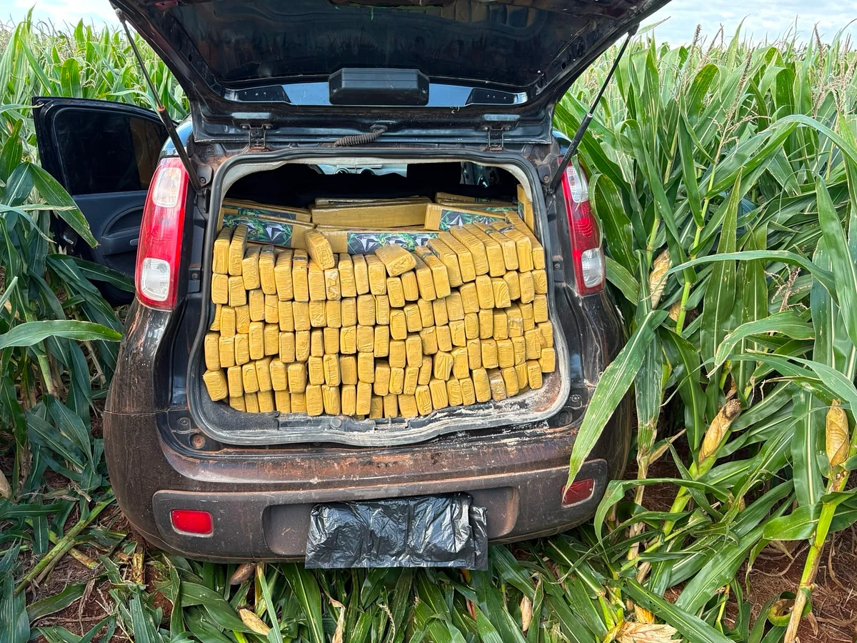 Imagem da notícia