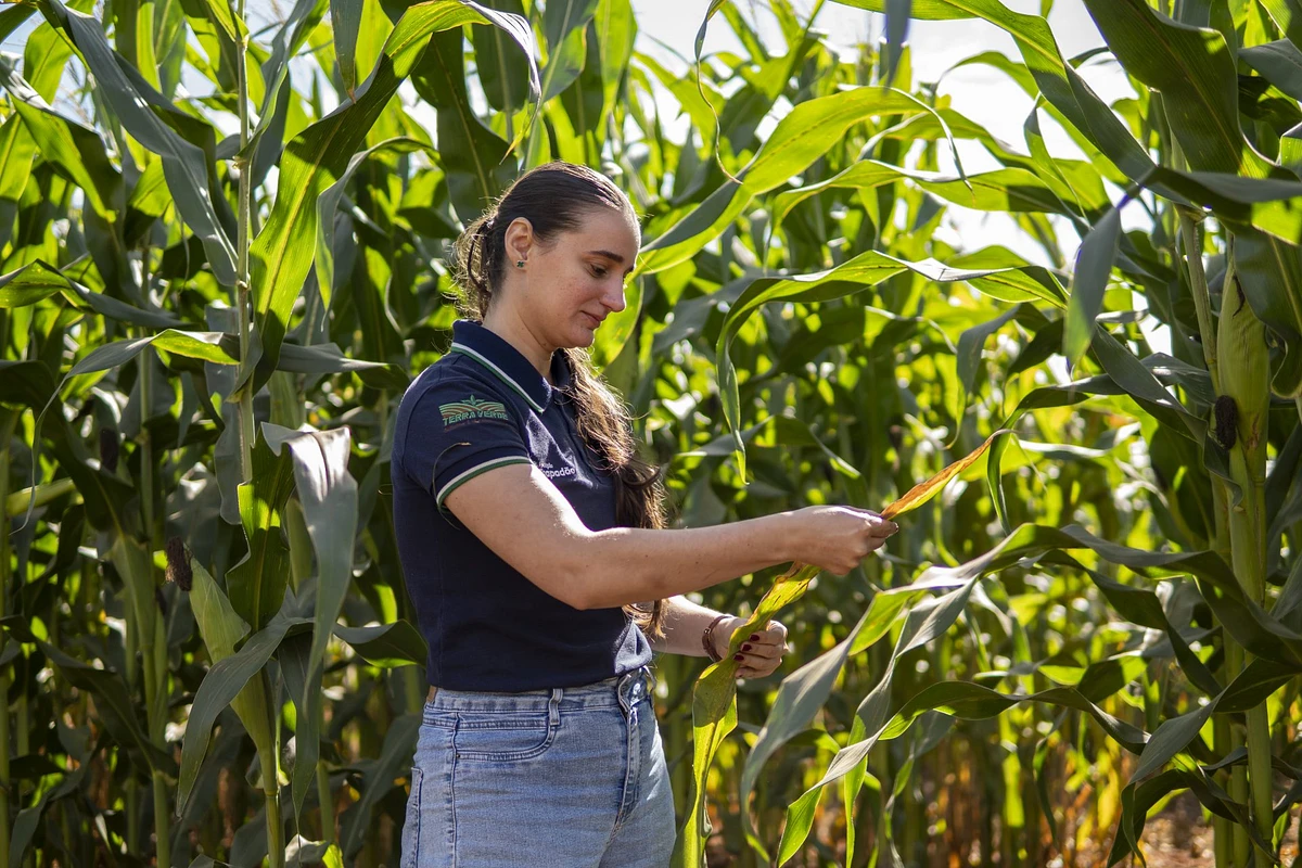 Segundo a agrônoma Aniele Versotto, os laboratórios da Fundação realizam diagnósticos de doenças, análises de produtos biológicos que garantem a eficiência no campo