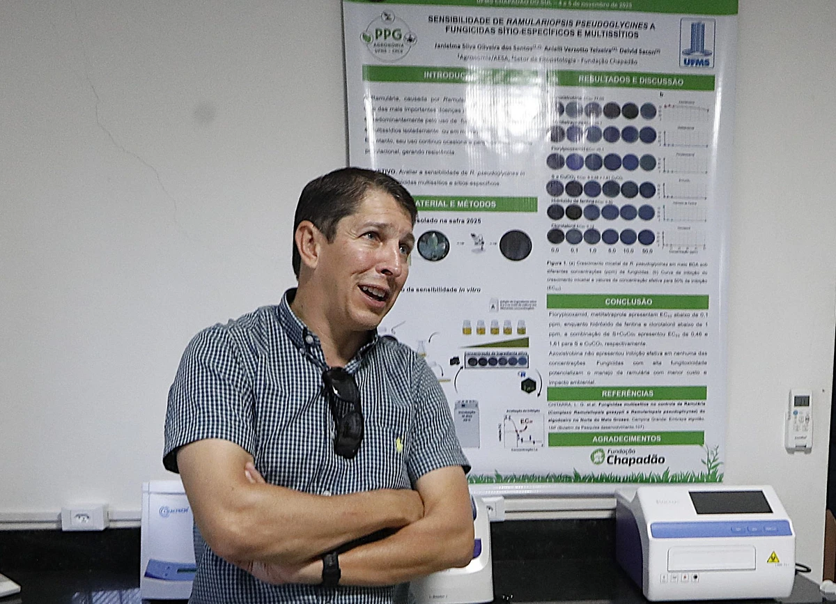 Henrichsen avalia que a região norte de Mato Grosso do Sul possui características climáticas que favorecem as culturas de soja e milho