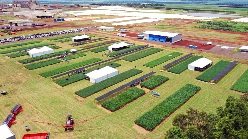 Coamo leva cooperados de São Gabriel do Oeste para Encontro de Inverno em fazenda experimental de Dourados