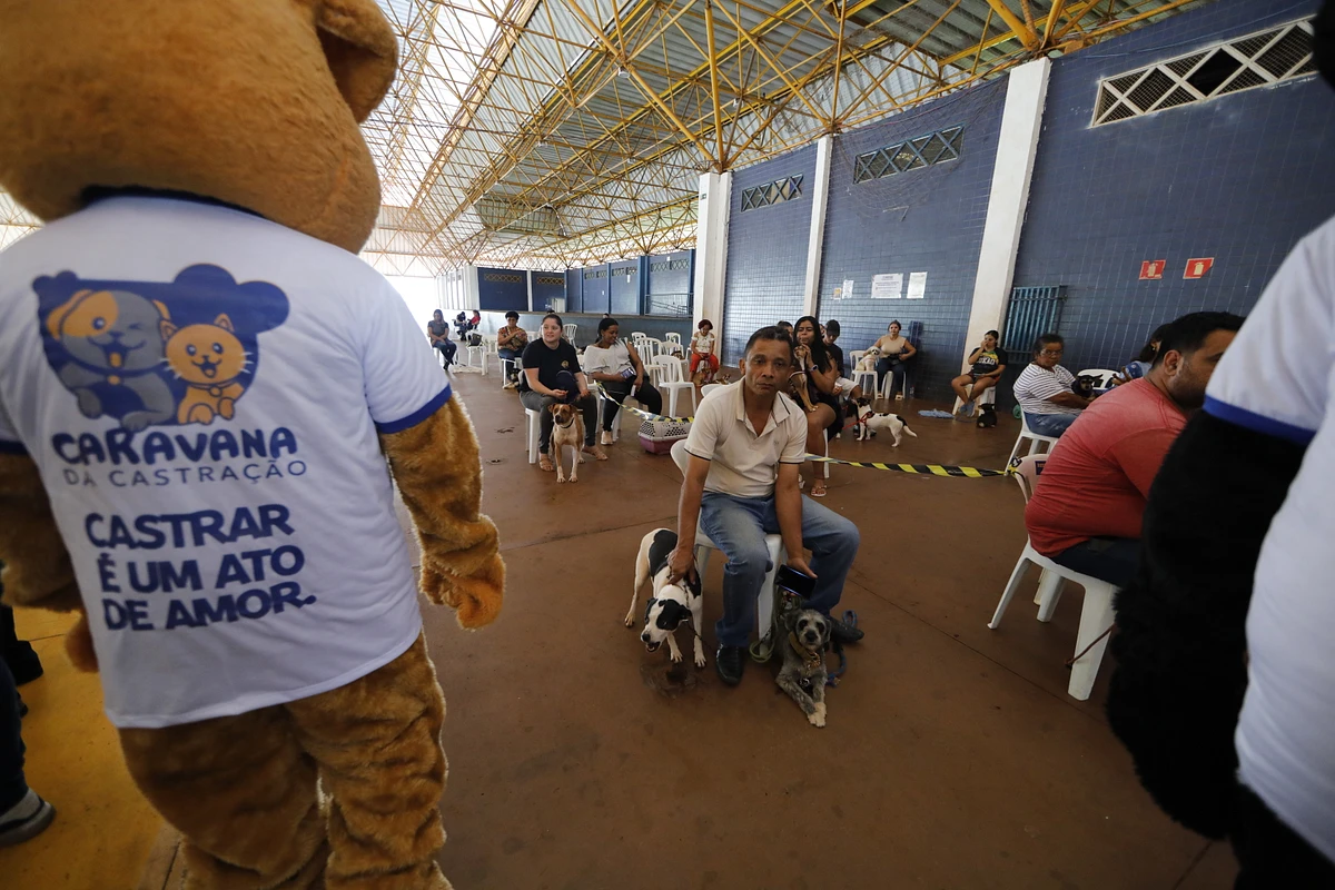 Imagem da notícia