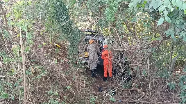 Imagem da notícia
