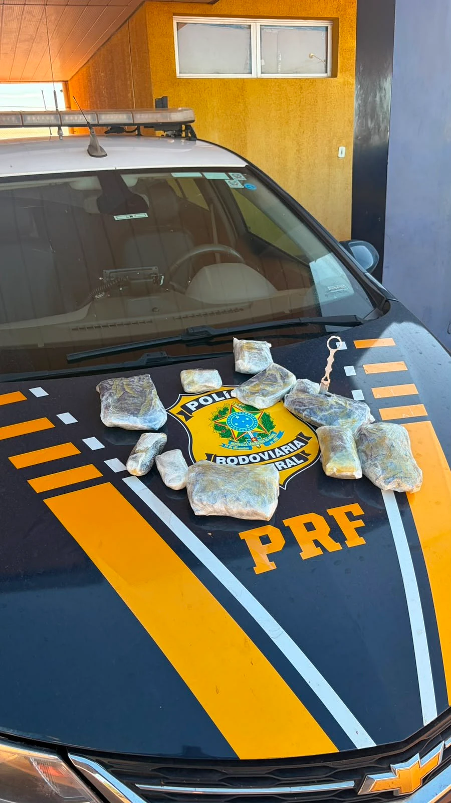 Imagem da notícia
