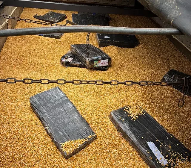 Imagem da notícia