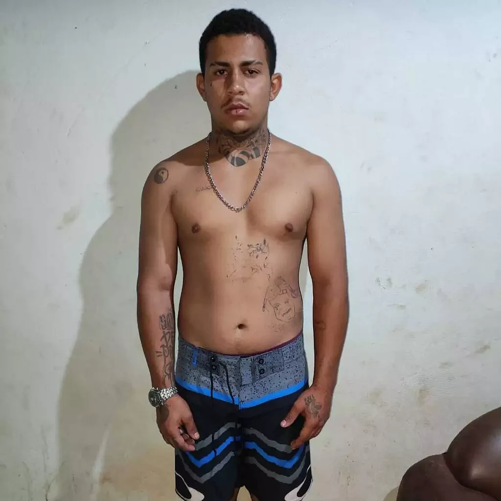 Imagem da notícia