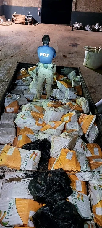Imagem da notícia