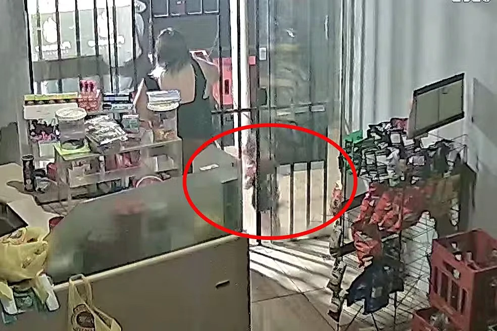 Imagem da notícia