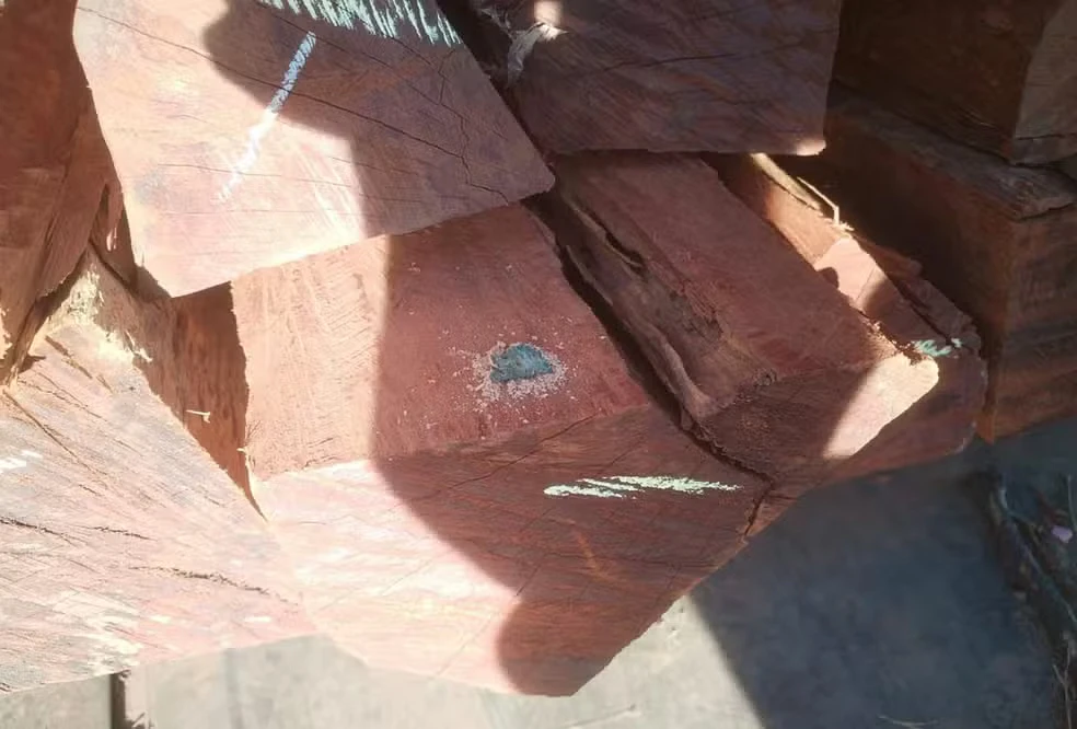 A droga foi encontrada em estado líquido e misturada à própria estrutura da madeira.