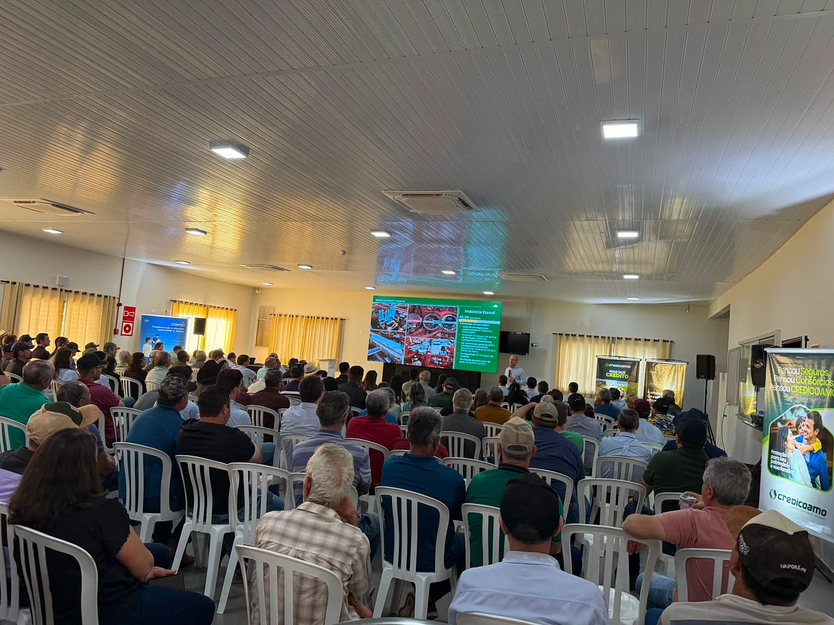 Imagem da notícia