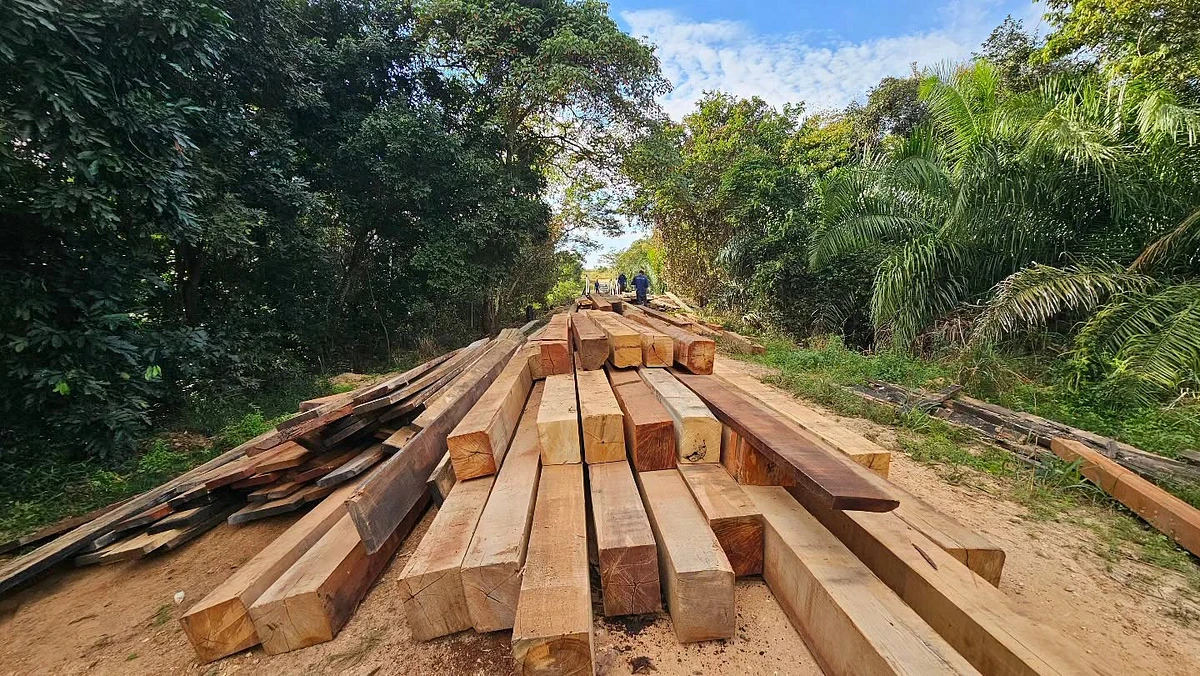 Imagem da notícia