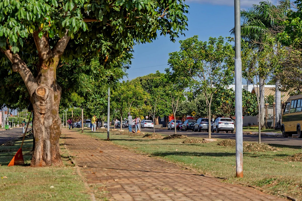 Imagem da notícia