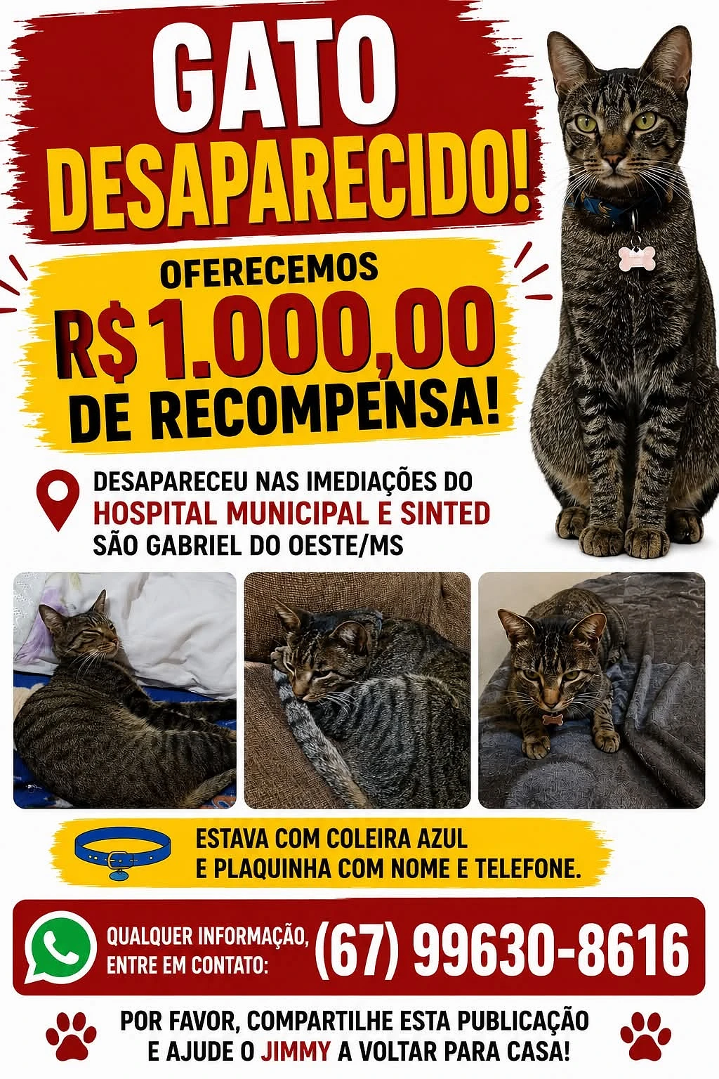 Imagem da notícia
