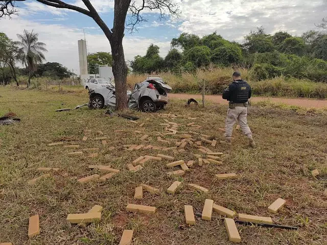 Imagem da notícia