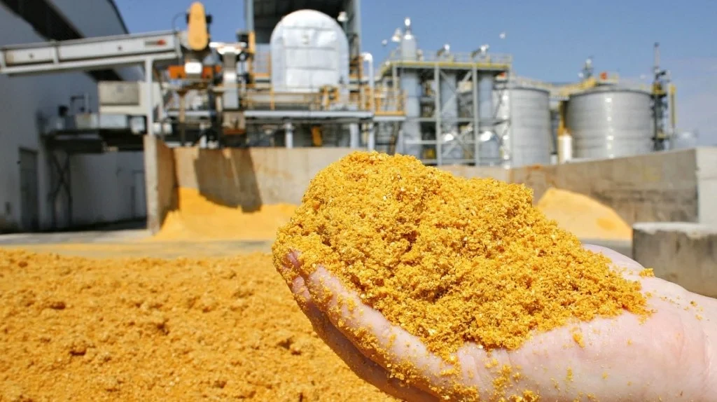O DDG é obtido durante o processo de fermentação do milho para produção de etanol.