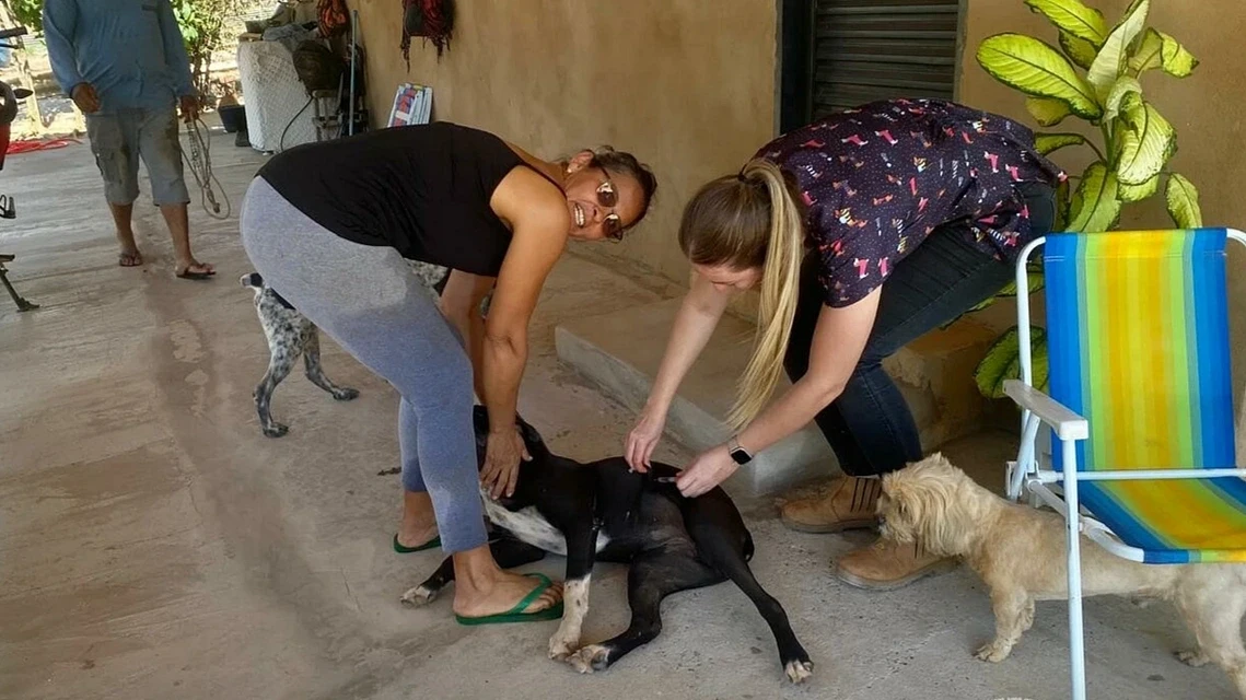 Imagem da notícia