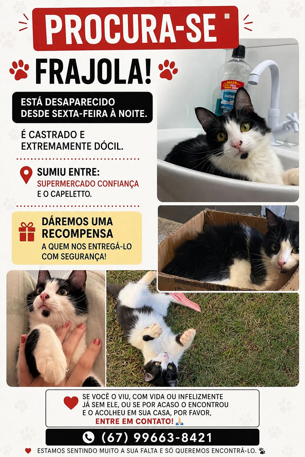 Imagem da notícia