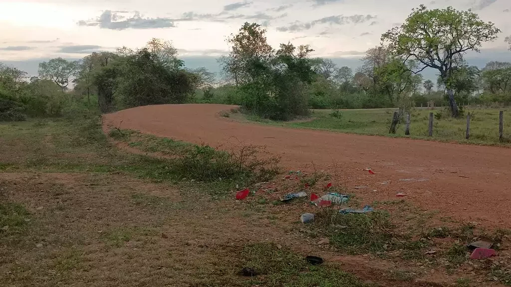 Local onde ocorreu o acidente.
