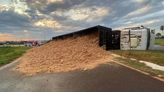 Imagem da notícia